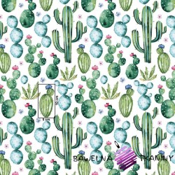 Bawełna kaktusy meksykańskie zielone na białym tle