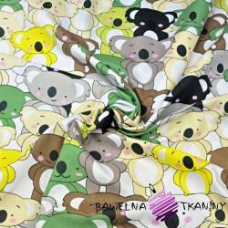 Bawełna misie koala żółto-szaro-beżowe na białym tle