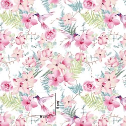 Cotton pink flowers with colibers on white background