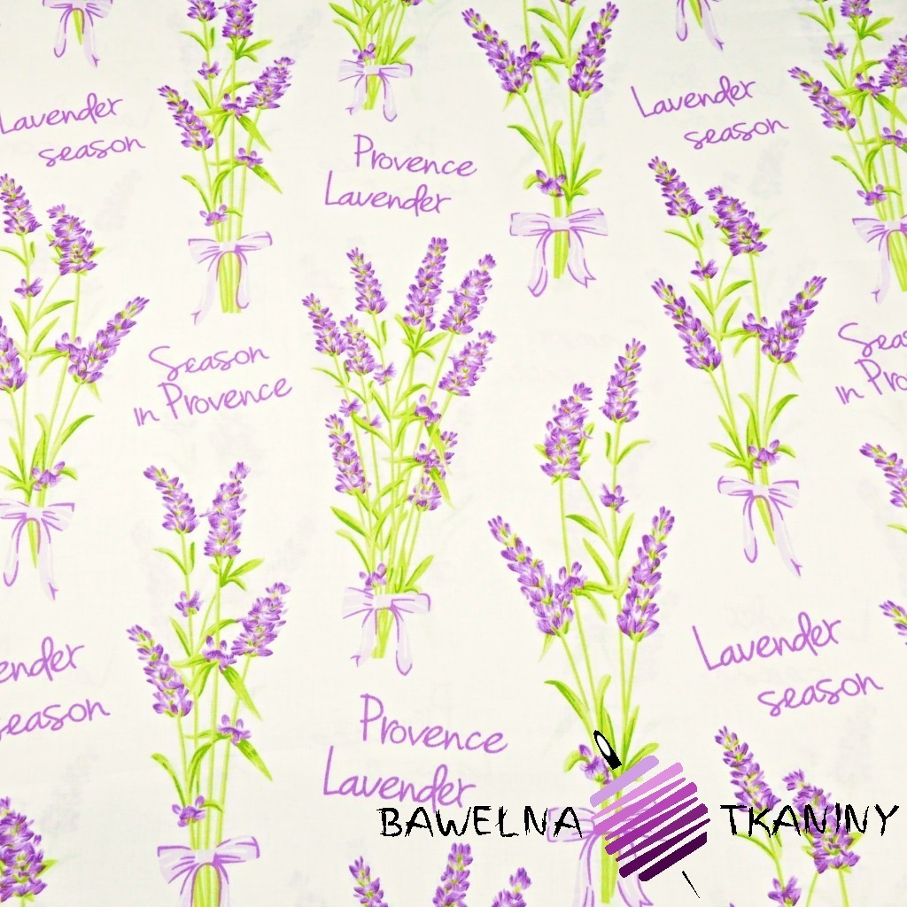 Cotton lavender on a white background