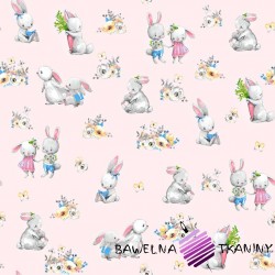 Cotton overs of rabbits on a pink background