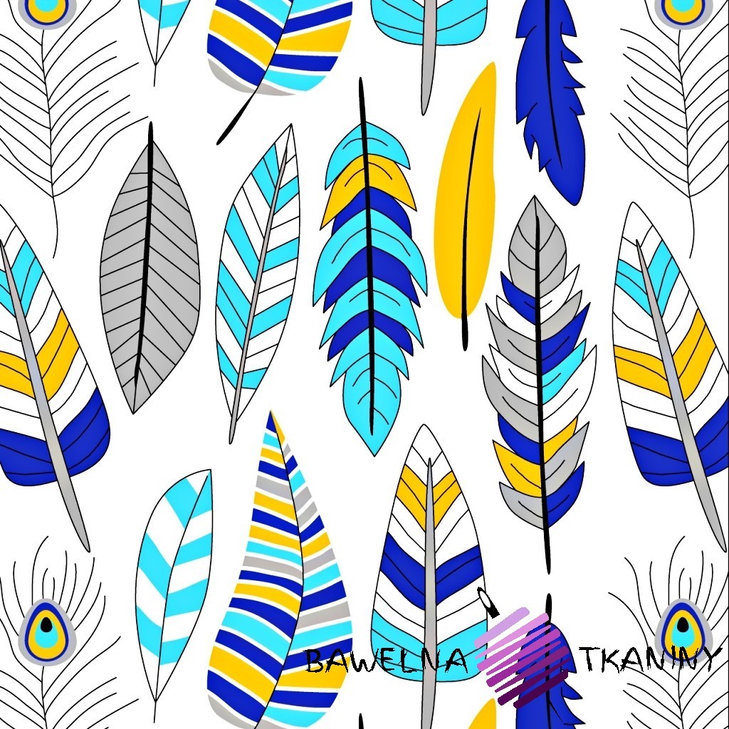 Cotton blue & yellow Feather on white background