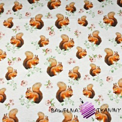 Cotton Jersey digital print - squirrels on white background