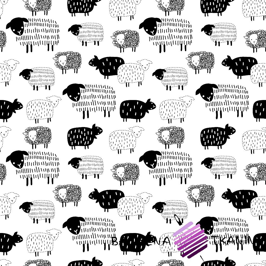 Bawełna owieczki rysowane czarne na białym tle