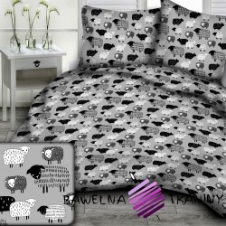 Cotton covered black sheep on a gray background