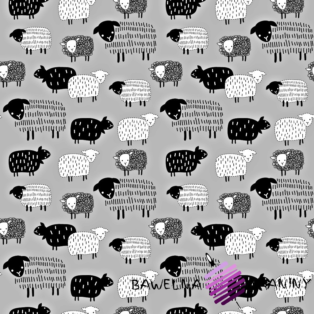 Bawełna owieczki rysowane czarne na szarym tle