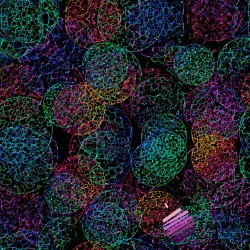 Looped knit digital print - colorful bubble on black background