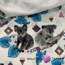 Dresówka pętelka druk cyfrowy - koala na kremowym tle