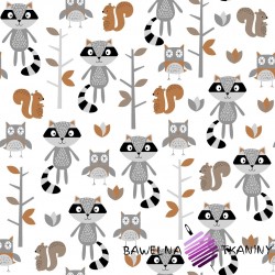 Cotton gray & beige raccoons in forest on white background