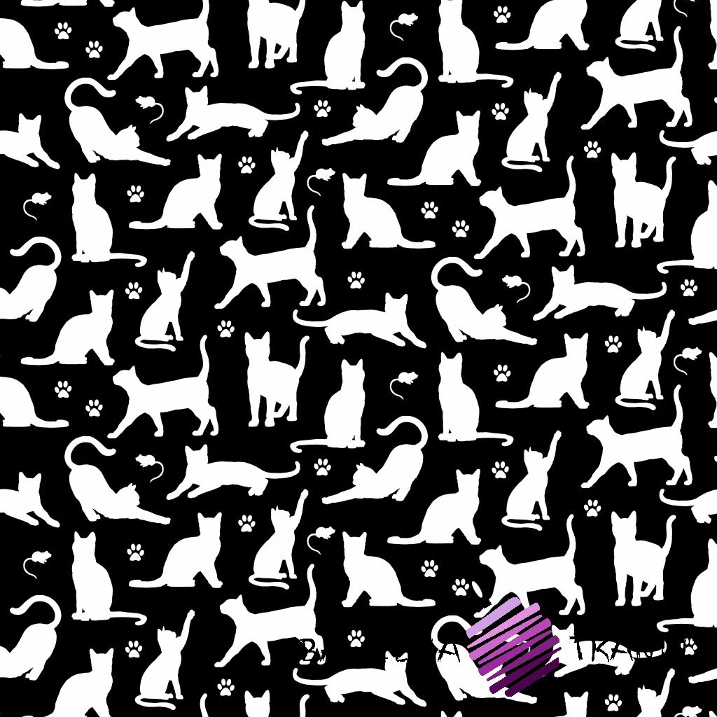 Bawełna kotki małe kontury białe na czarnym tle