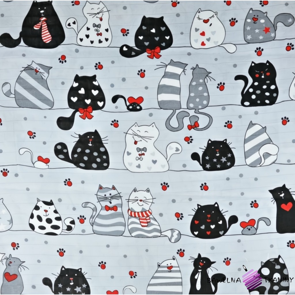 Muslin cloth crazy cats on gray background