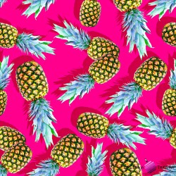 Jersey knitwear digital print (pineapples) Fabric store