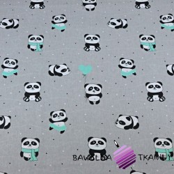pandy z miętowym balonikiem na szarym tle