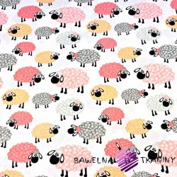 Cotton pink & orange sheep in dots on white background