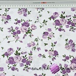 Cotton twigs of purple roses on white -220cm