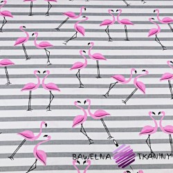 flamingi z pasami szarymi na białym tle
