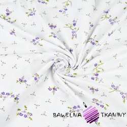 Kwiaty niezapominajki fioletowe na białym tle