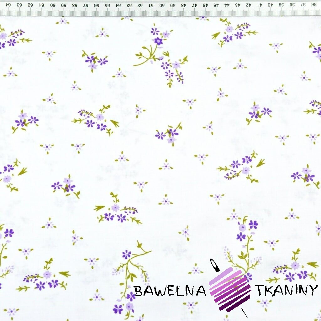 Cotton Violet Forget Me Not Flowers On White Background