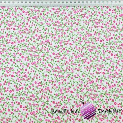 Cotton pink-green meadow