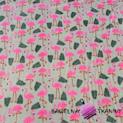 Polar plus różowe flamingi na szarym tle