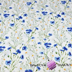 Cotton flowers cornflowers and chamomiles on a white background 220cm