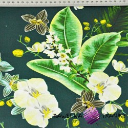 Cotton orchid on a dark green background 220cm