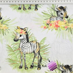 Cotton Zebras with leaves on a white background
