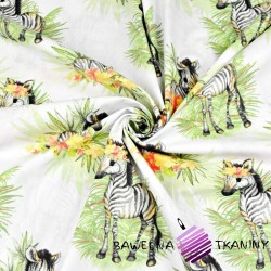 Cotton Zebras with leaves on a white background