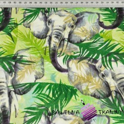 Cotton Elephants with green leaves on a white background