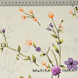 Cotton purple-pink Flowers on twigs on a vanilla background