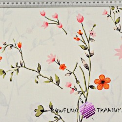Cotton purple-red Flowers on twigs on a vanilla background