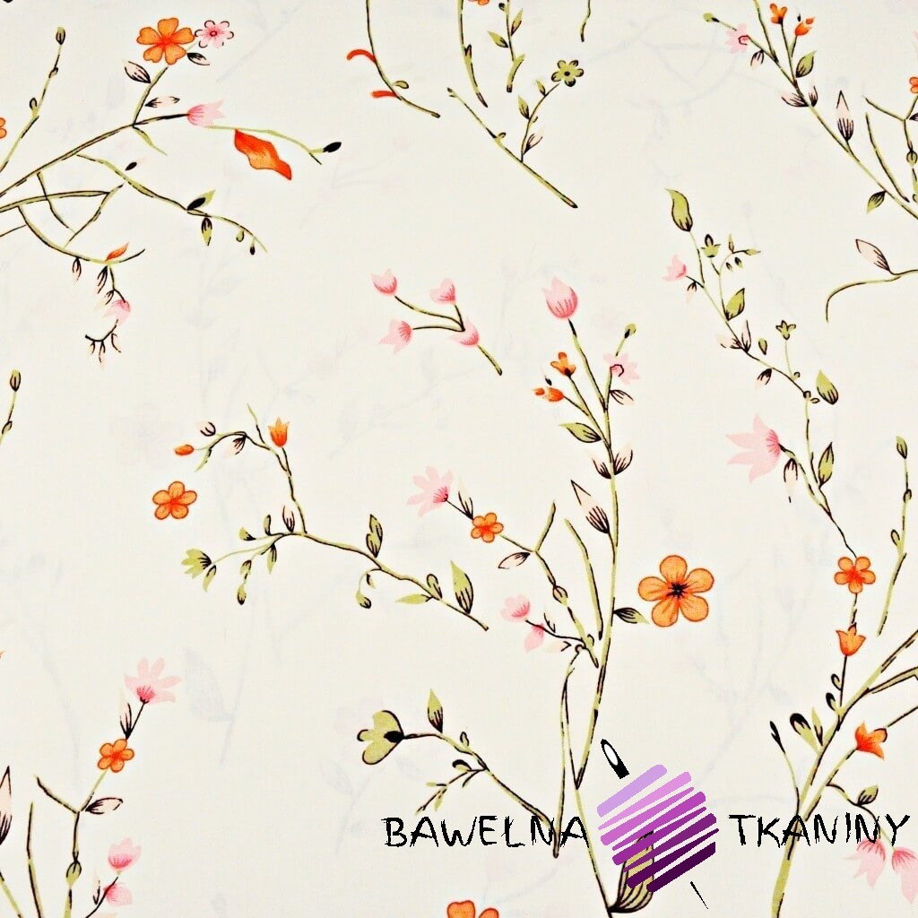 Cotton purple-red Flowers on twigs on a vanilla background