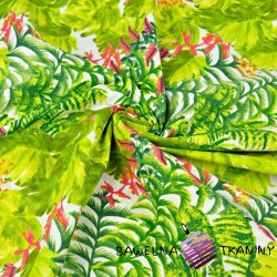 liście zielone palmowe ze storczykiem różowy na białym tle