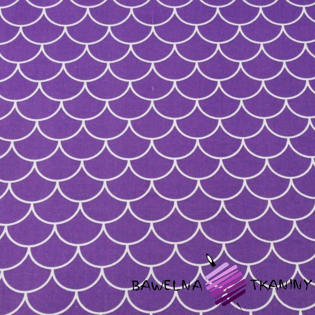 Cotton white husks on purple background