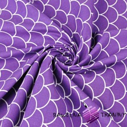 Cotton white husks on purple background