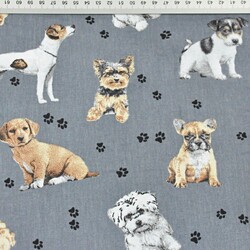 Cotton beige dogs on dark gray background