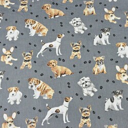 Cotton beige dogs on dark gray background