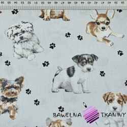 Cotton beige dogs on light gray background